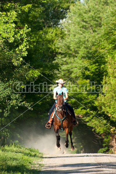 Woman trail riding on Standardbred mare