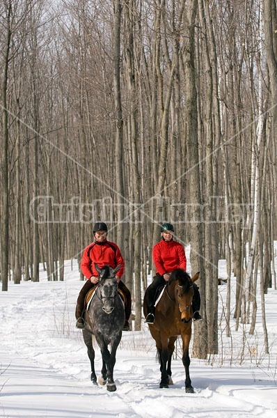 Horseback Riding in the Winter in Ontario Canada