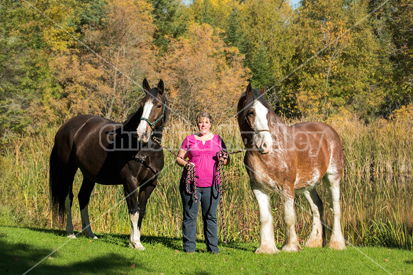 Portrait of a woman and her two horses