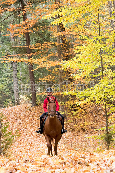 Young girl horseback riding through the autumn colored forest