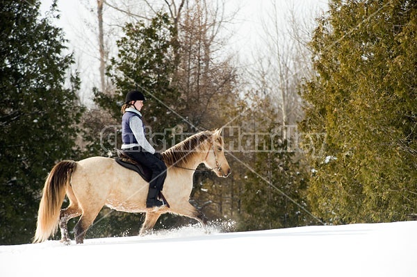 Horseback riding in the snow in Ontario Canada