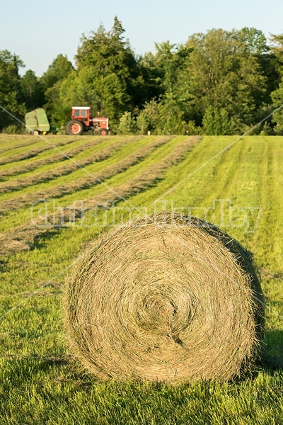 Making round bales of hay