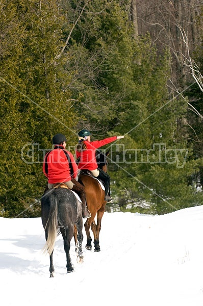 Horseback Riding in the Winter in Ontario Canada