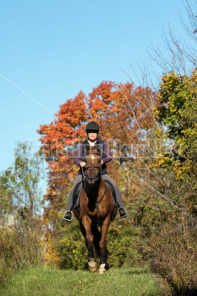 Woman riding a Chestnut Thoroughbred horse