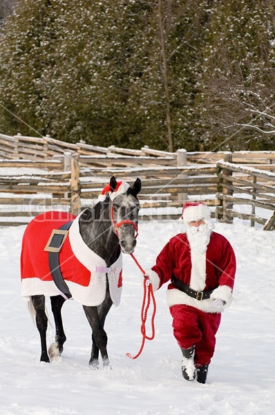 Santa Claus and his Horse