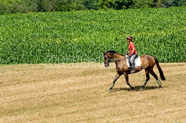 Woman horseback riding in field