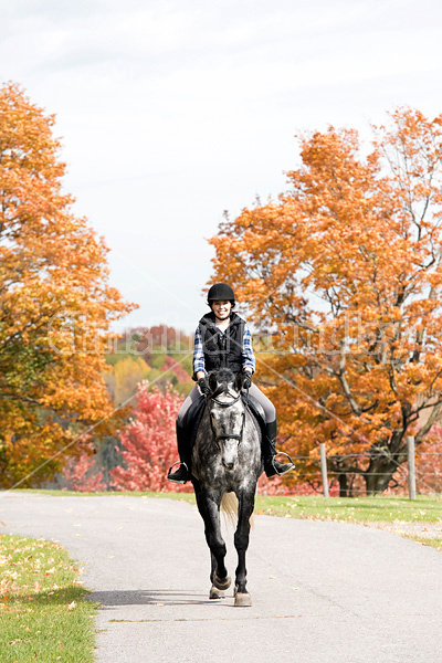 Young woman riding gray horse in the autumn colors