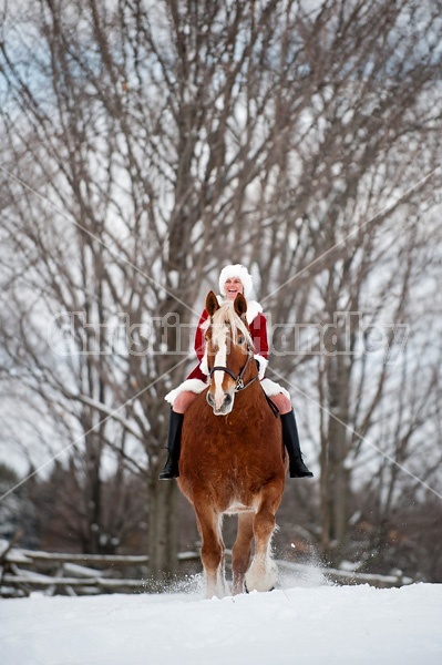 Mrs. Claus riding a Belgian draft horse bareback