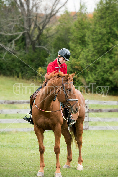 Portrait of young girl horseback riding