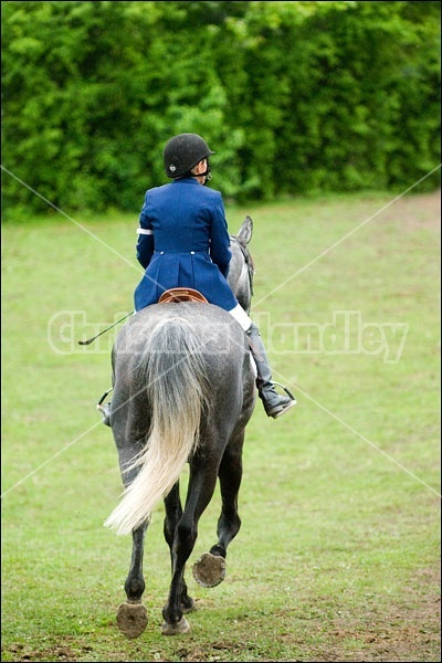 Horse Trials