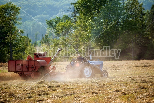 Combining oats