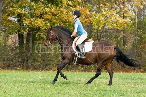 Young woman horseback riding