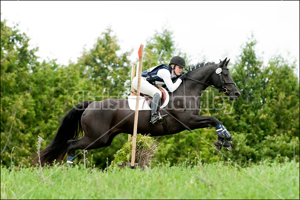 Lanes End Horse Trials