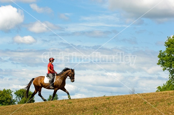 Woman horseback riding in field