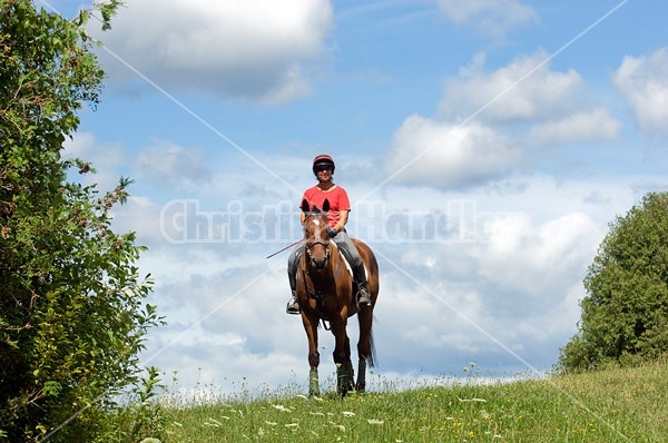 Woman riding bay horse