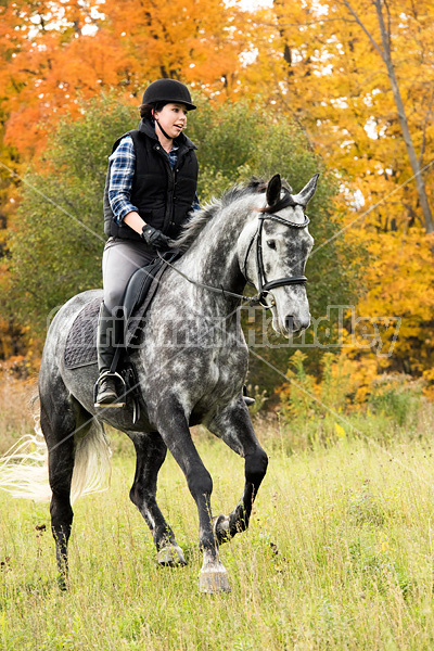 Young woman riding gray horse in the autumn colors