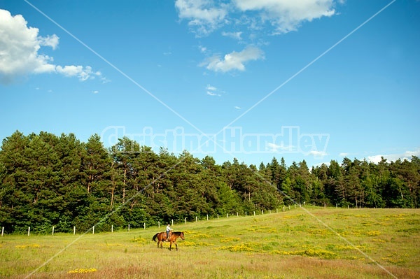 Young woman trail riding in Ontario Canada