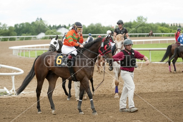 Quarter Horse Racing at Ajax Downs