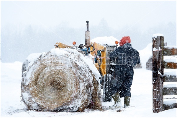 Farmer with tractor and round bale of hay