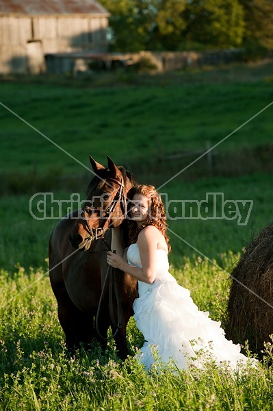 Woman in wedding dress with horse.