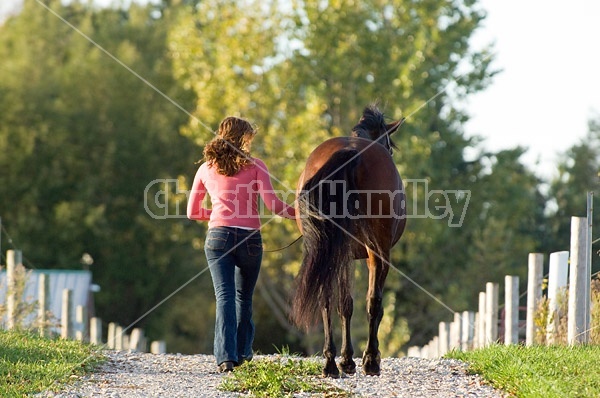 Young woman and her horse