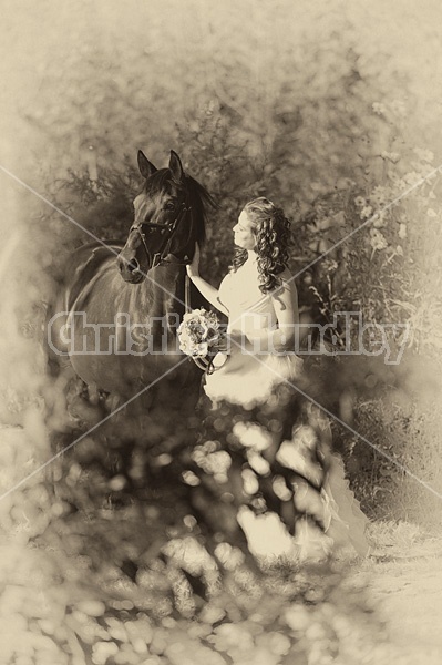 Woman in wedding dress with horse.