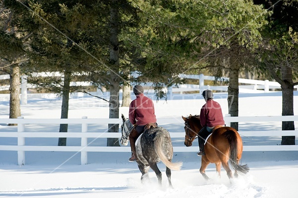 Husband and wife horseback riding through the deep snow