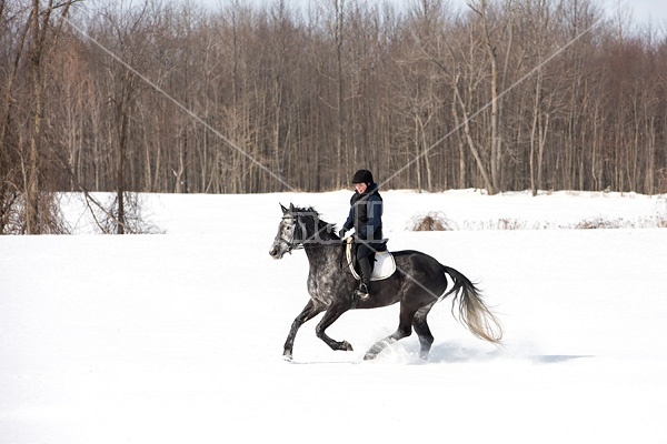 Woman riding Hanoverian mare in deep snow