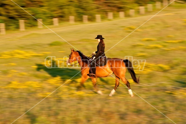 Young woman riding an American Paint Horse mare in the golden glow of the late evening light