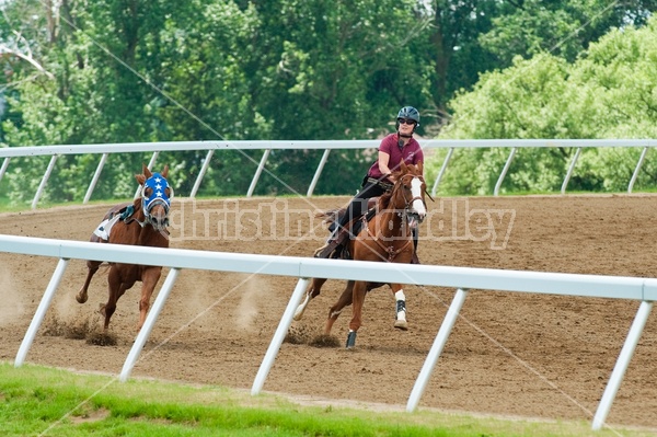 Quarter Horse Racing at Ajax Downs