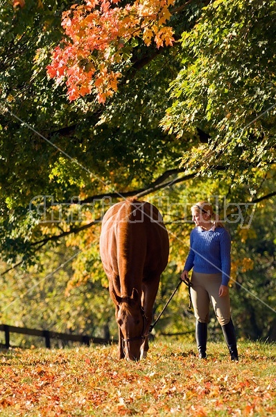 Young woman leading chestnut horse