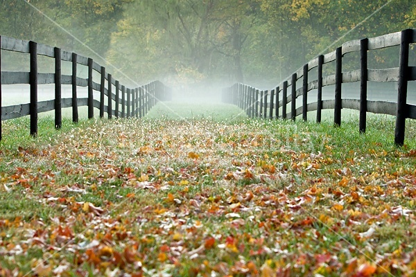 Autumn farm scene