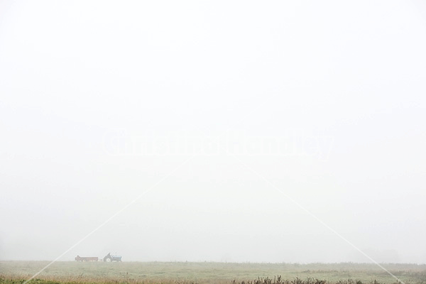 Spreading manure in the early morning fog