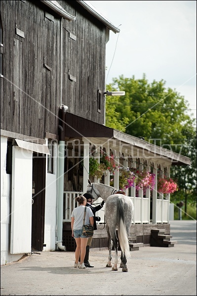 Hunter Jumper Show at Blue Star Farm