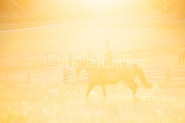 Young woman riding an American Paint Horse mare in the golden glow of the late evening light