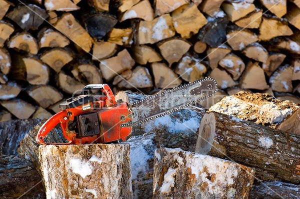 Firewood cut, split and piled with chainsaw sitting on wood block