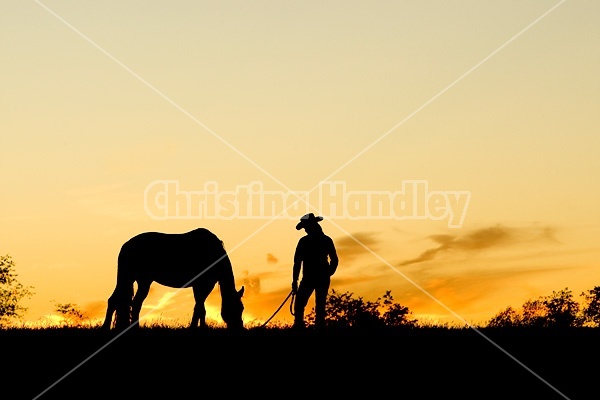 Woman with horse silhouetted against evening sky