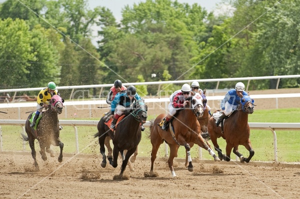 Quarter Horse Racing at Ajax Downs