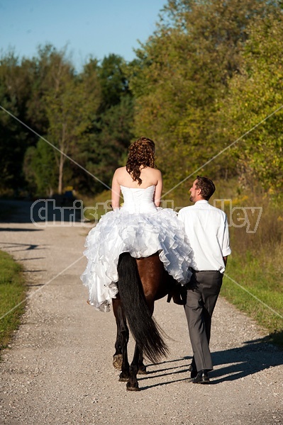 Bride and groom with horse