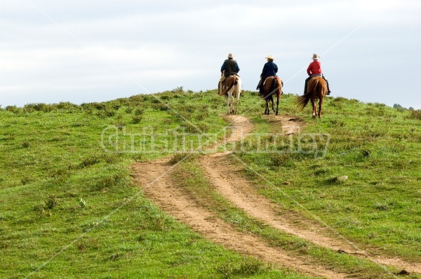 Three western riders following trail over hilltop.