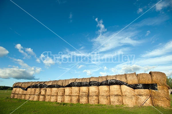 Round bales of hay stacked up