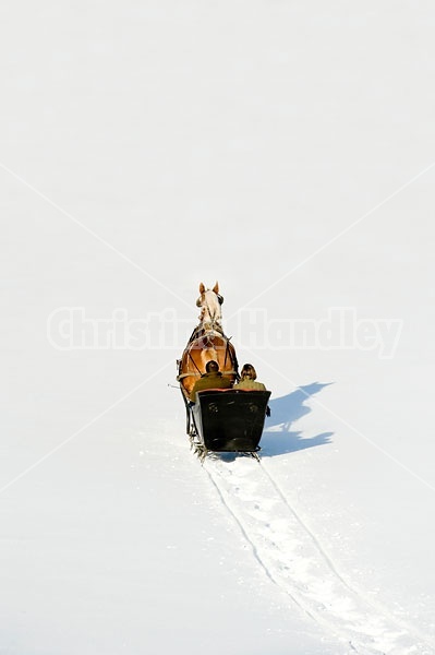 Single Horse Sleigh Ride