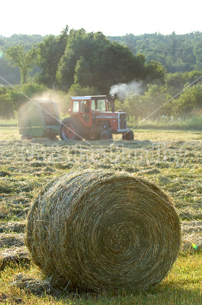 Farmer round baling oats in the summertime