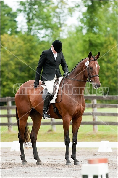 Lanes End Horse Trials