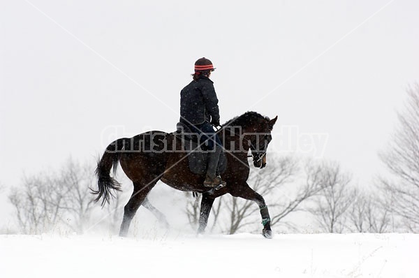 Woman horseback riding in the winter