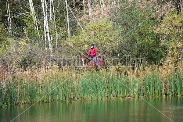 Woman horseback riding around pond in the autumn colors