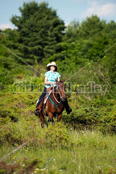Woman trail riding on Standardbred mare