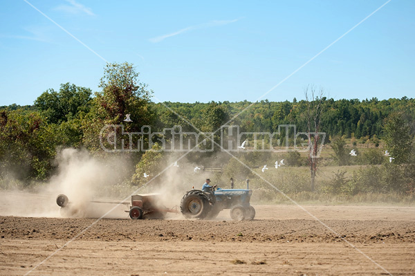 Farmer driving tractor and seed drill seeding oats