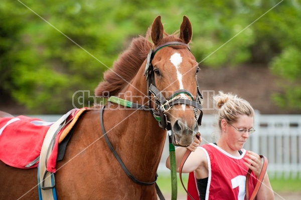 Quarter Horse Racing at Ajax Downs