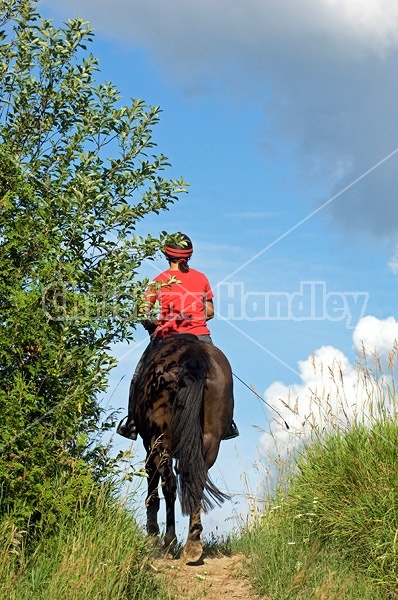 Woman horseback riding